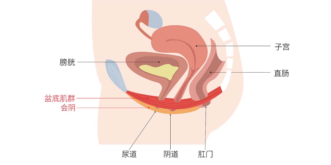 高跟鞋能锻炼盆底肌吗？产后多久可以穿高跟鞋？