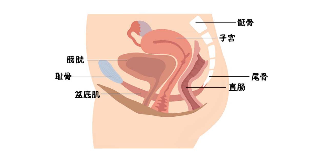 如何提高盆底肌康复效果？这4点需要注意