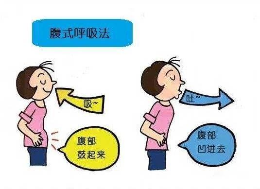 如何在家做腹直肌分离训练？(图1)